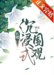 红楼沉浸