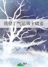我娶了气运男主做妾网盘资源