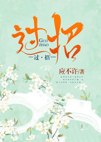 过招第14集免费在线观看