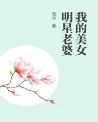 中国明星韩国老婆